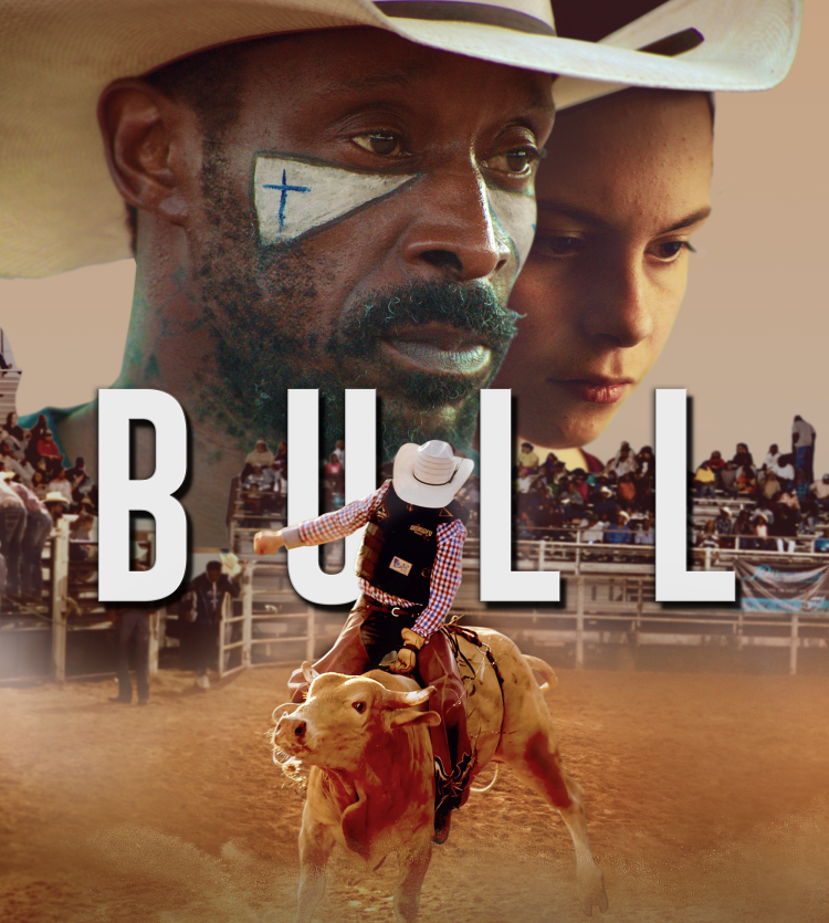 bull 